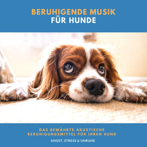 Hoerbuch Beruhigende Musik für Hunde - Neil Aniston - Patrick Glaser