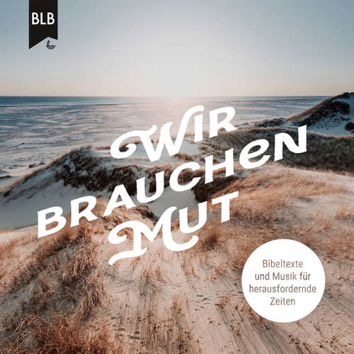 Hoerbuch Wir brauchen Mut -  - Hannah Schepmann