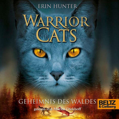 Hoerbuch Warrior Cats. Geheimnis des Waldes - Erin Hunter - Marlen Diekhoff