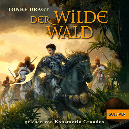Hoerbuch Der Wilde Wald - Tonke Dragt - Konstantin Graudus