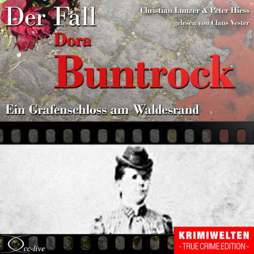 Hoerbuch Ein Grafenschloss am Waldesrand - Der Fall Dora Buntrock - Peter Hiess - Claus Vester