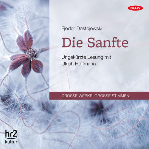 Hoerbuch Die Sanfte - Fjodor Dostojewski - Ulrich Hoffmann
