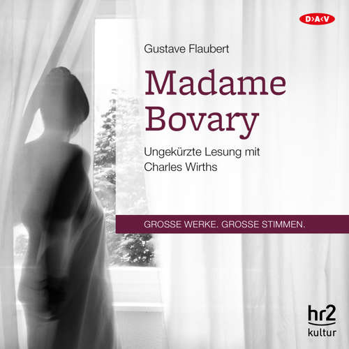 Hoerbuch Madame Bovary - Gustave Flaubert - Charles Wirths