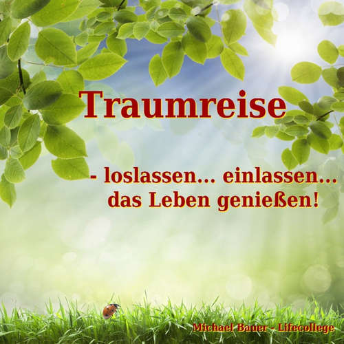 Hoerbuch Traumreise - loslassen... einlassen... das Leben genießen! - Michael Bauer - Michael Bauer