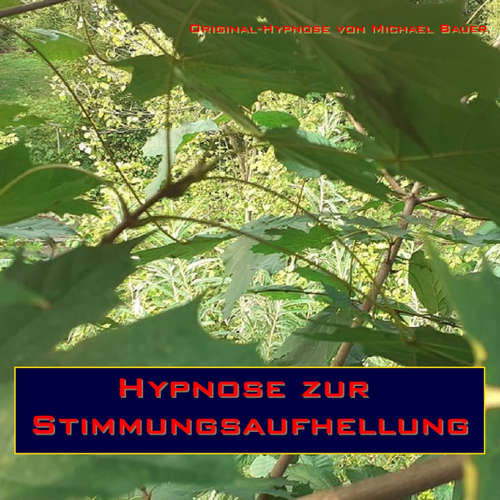 Hoerbuch Hypnose zur Stimmungsaufhellung - Michael Bauer - Michael Bauer