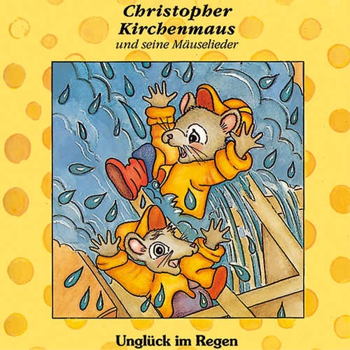 Hoerbuch 01: Unglück im Regen - Gertrud Schmalenbach - Rainer Bärensprung
