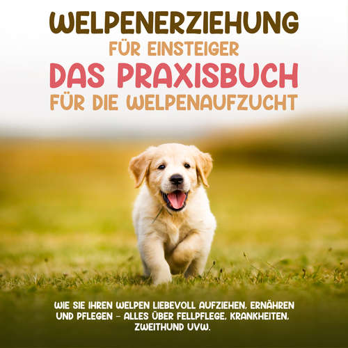 Hoerbuch Welpenerziehung für Einsteiger - Das Praxisbuch für die Welpenaufzucht: Wie Sie Ihren Welpen liebevoll aufziehen, ernähren und pflegen - alles über Fellpflege, Krankheiten, Zweithund uvw. - Sascha Bergmann - Celina Bender