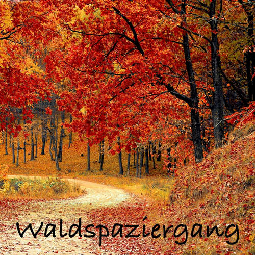 Hoerbuch Waldspaziergang: Naturgeräusche und Meditationen (ohne Musik) zur Entspannung von Körper und Geist - Patrick Lynen - Patrick Lynen