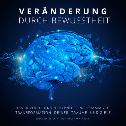 Hoerbuch Hypnose-Anwendung: Veränderung durch Bewusstheit (Wege zur Effektivität) - Patrick Lynen - Patrick Lynen