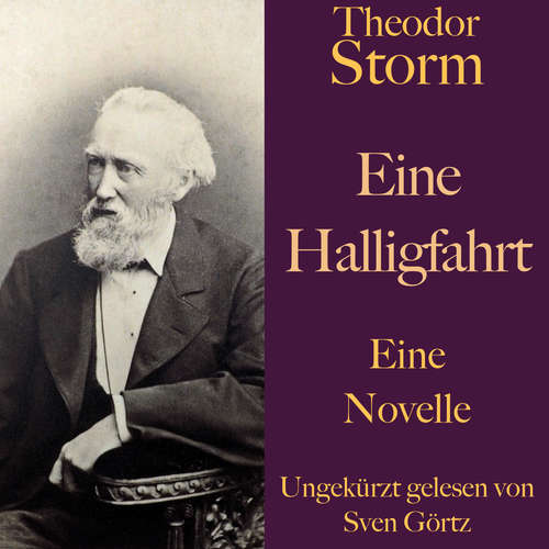 Hoerbuch Theodor Storm: Eine Halligfahrt - Theodor Storm - Sven Görtz