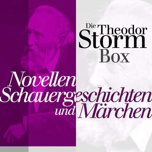 Hoerbuch Novellen, Schauergeschichten und Märchen - Theodor Storm - Jürgen Fritsche