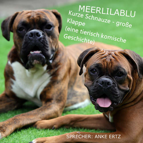 Hoerbuch Kurze Schnauze - große Klappe - Anke Ertz - Anke Ertz