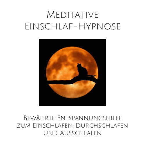 Hoerbuch Meditative Einschlafhypnose - Patrick Lynen - Patrick Lynen