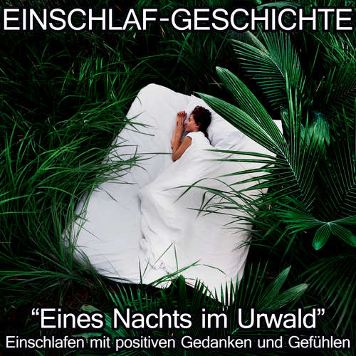 Hoerbuch Einschlaf-Geschichte - Eines Nachts im Urwald - Raphael Kempermann - Raphael Kempermann