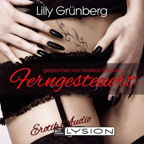 Hoerbuch Ferngesteuert - Lilly Grünberg - Andreas Sparberg