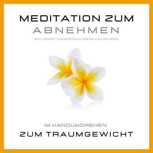 Hoerbuch Meditation zum Abnehmen - Institut für angewandte Meditation - Magnus von Loewenstein