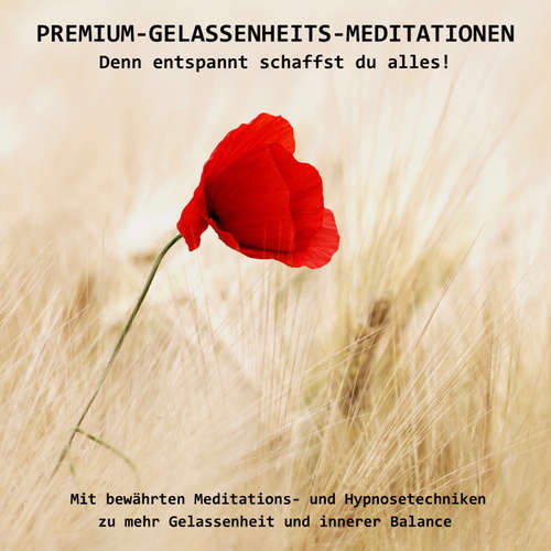 Hoerbuch PREMIUM-GELASSENHEITS-MEDITATIONEN: Denn entspannt schaffst Du alles! - Patrick Lynen - Patrick Lynen