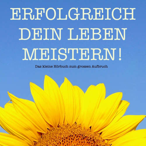 Hoerbuch Erfolgreich dein Leben meistern! Das kleine Hörbuch für mehr Erfolg - Patrick Lynen - Patrick Lynen