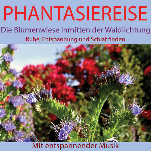 Hoerbuch Phantasiereise: Die Blumenwiese inmitten der Waldlichtung - Maximilian Neumann - Maximilian Neumann