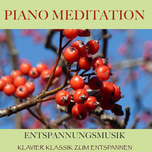 Hoerbuch Piano Meditation – Entspannungsmusik - Filip Lundqvist - Filip Lundqvist