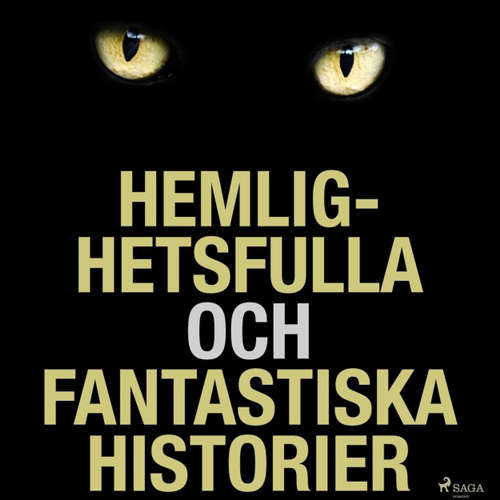Audiokniha Hemlighetsfulla och fantastiska historier - Edgar Allan Poe - Gert Lundstedt Audiokniha Hemlighetsfulla och fantastiska historier - Edgar Allan Poe - Gert Lundstedt