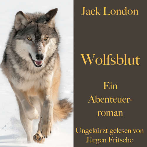 Hoerbuch Jack London: Wolfsblut - Jack London - Jürgen Fritsche