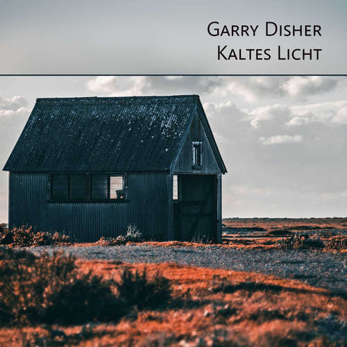 Hoerbuch Kaltes Licht - Garry Disher - Sebastian Dunkelberg