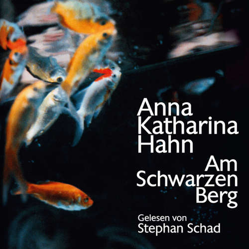 Hoerbuch Am schwarzen Berg - Anna Katharina Hahn - Stephan Schad