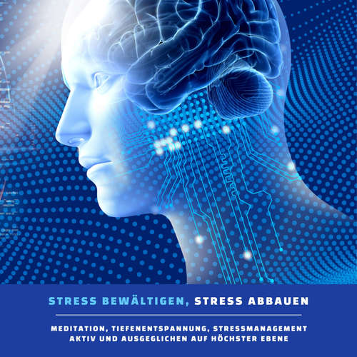 Hoerbuch Stress bewältigen, Stress abbauen (Meditation, Tiefentspannung, Stressmanagement) - Patrick Lynen - Stephan Müller