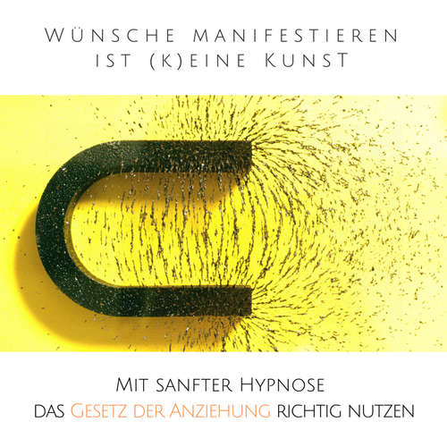 Hoerbuch Wünsche manifestieren ist (k)eine Kunst - Das Gesetz der Resonanz entfesseln - Patrick Lynen - Patrick Lynen