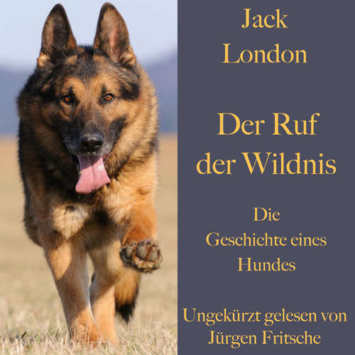 Hoerbuch Jack London: Der  Ruf der Wildnis. Die Geschichte eines Hundes - Jack London - Jürgen Fritsche