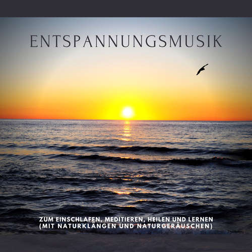 Hoerbuch Traumhafte Entspannungsmusik mit Naturgeräuschen und Naturklängen in 432 Hz - Dr. Jeffrey Thiers - Timm Körber