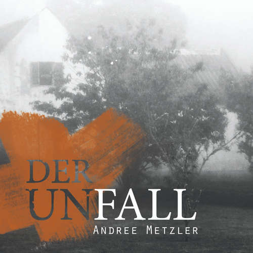 Hoerbuch Der Unfall - Andree Metzler - Sarah Alles