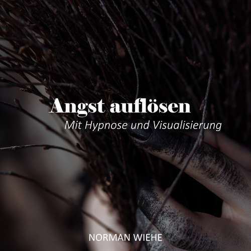 Hoerbuch Angst auflösen - Norman Wiehe - Norman Wiehe