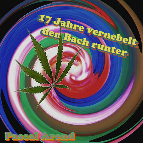 Hoerbuch 17 Jahre vernebelt den Bach runter - Pascal Arend - Pascal Arend