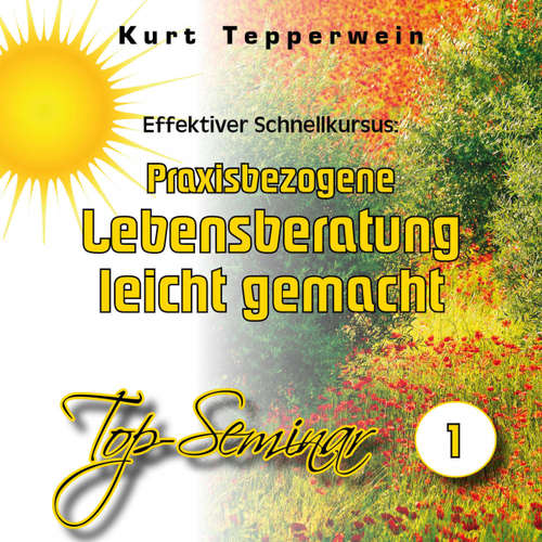 Hoerbuch Effektiver Schnellkursus: Praxisbezogene Lebensberatung leicht gemacht (Top-Seminar - Teil 1) - - Kurt Tepperwein