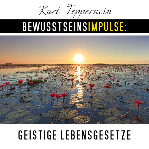 Hoerbuch Bewusstseinsimpulse: Geistige Lebensgesetze - Kurt Tepperwein - Kurt Tepperwein
