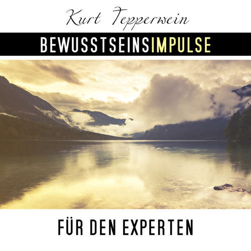 Hoerbuch Bewusstseinsimpulse für den Experten - Kurt Tepperwein - Kurt Tepperwein