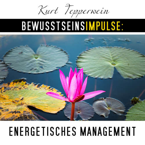 Hoerbuch Bewusstseinsimpulse: Energetisches Management - Kurt Tepperwein - Kurt Tepperwein