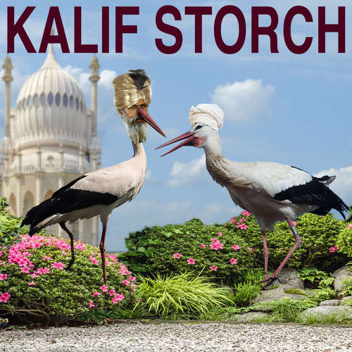Hoerbuch Kalif Storch - Wilhelm Hauff - Marco Caduff
