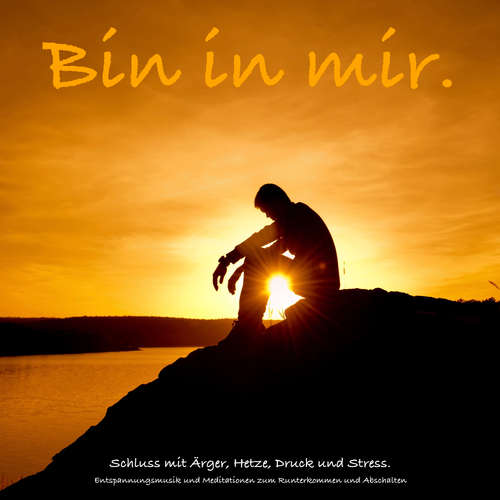 Hoerbuch Bin in mir. Schluss mit Ärger, Hetze, Druck und Stress. - Patrick Lynen - Patrick Lynen