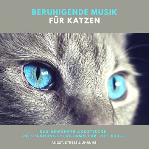 Hoerbuch Beruhigende Musik für Katzen - Laura Maria Kasier - Olaf Deeken