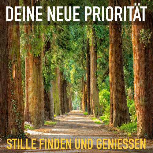 Hoerbuch Deine neue Priorität: Stille finden und genießen - Patrick Lynen - Patrick Lynen