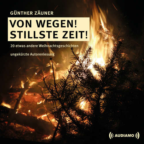 Hoerbuch Von wegen! Stillste Zeit! - Günther Zäuner - Günther Zäuner
