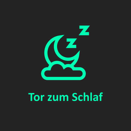 Hoerbuch Tor zum Schlaf - Brigitte Holzinger - Brigitte Holzinger