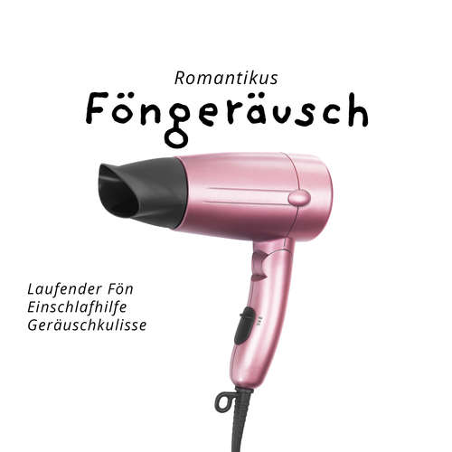 Hoerbuch Föngeräusch - Roland Pink - Roland Pink