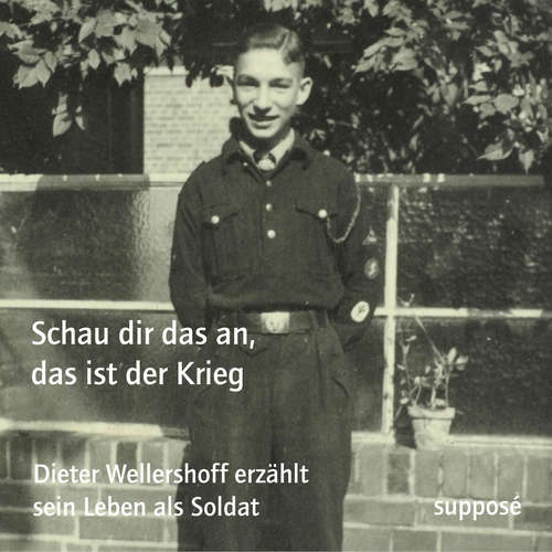 Hoerbuch Schau dir das an, das ist der Krieg - Thomas Böhm - Dieter Wellershoff