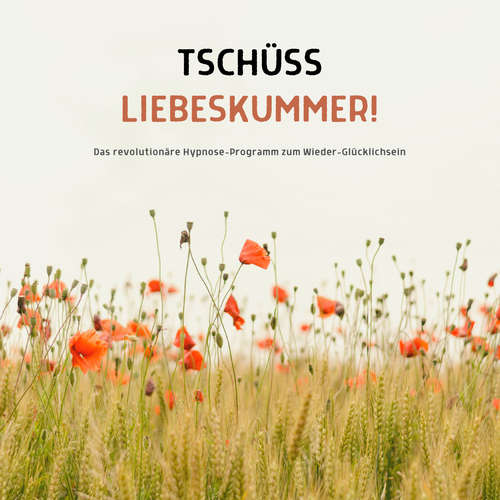 Hoerbuch Tschüss Liebeskummer! Wie du deine Trennung verarbeitest und deine Lebensfreude wiederfindest - Lina Herzig - Thomas Belz