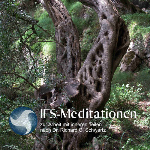 Hoerbuch IFS-Meditationen zur Arbeit mit inneren Teilen nach Dr. Richard C. Schwartz - Richard C. Schwartz - Jaqueline Queck