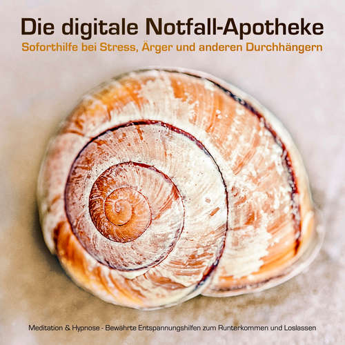Hoerbuch Die digitale Notfall-Apotheke: Soforthilfe bei Stress, Ärger und anderen Durchhängern - Patrick Lynen - Patrick Lynen